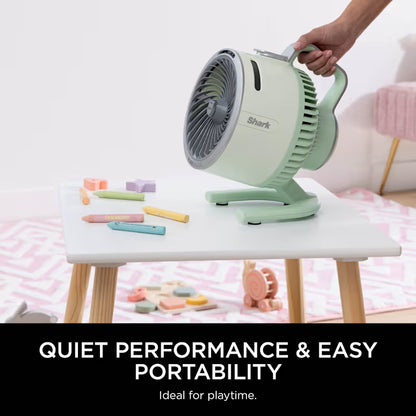 FlexBreeze HydroGo Misting Fan